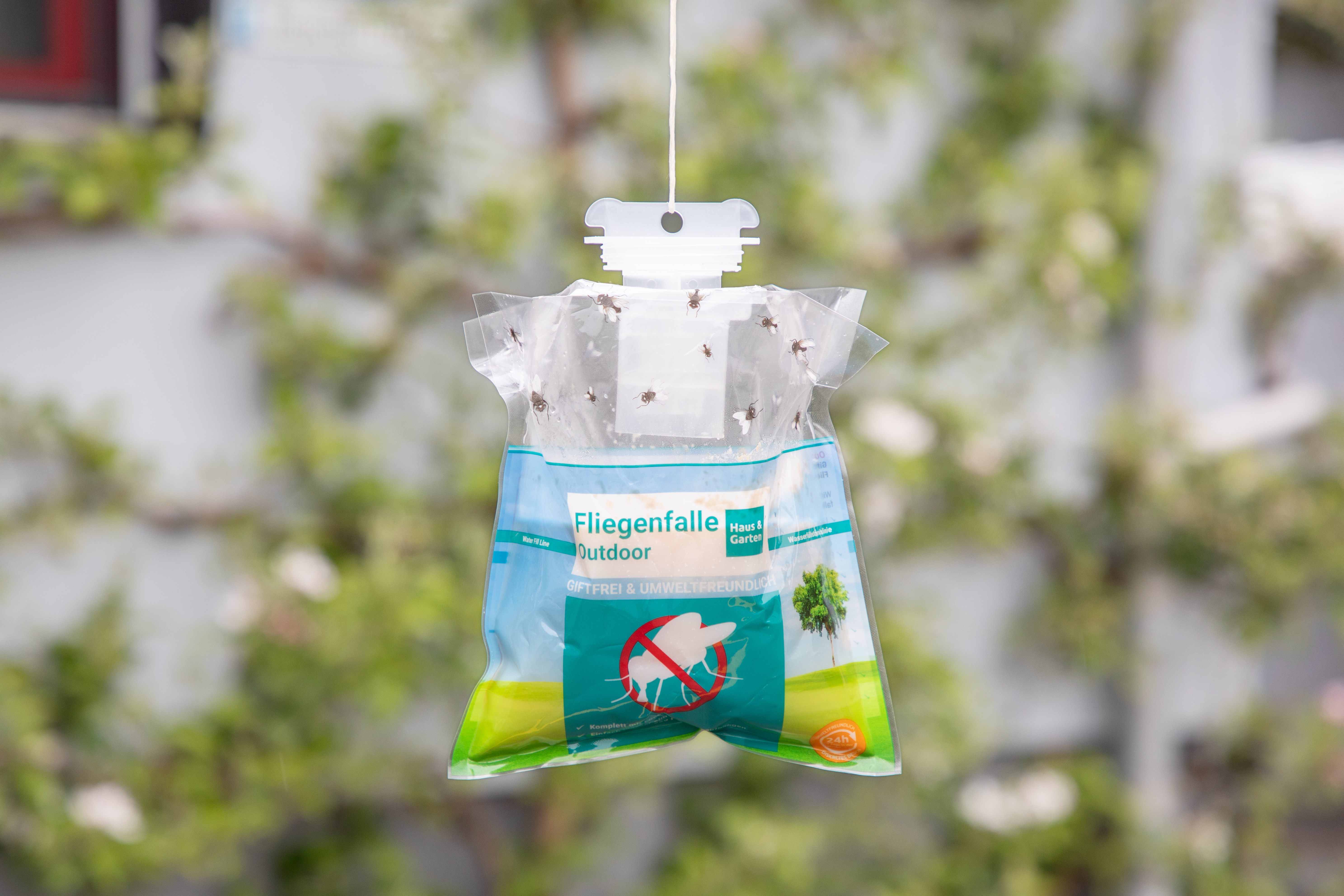 AndermattBiogarten Flytrap Outdoor