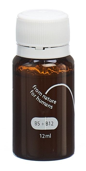 heybee Gelée Royale Power Shot 10 Trinkampullen 12ml